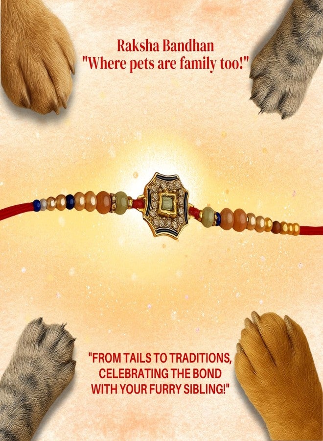 سايج سكوير راخي مربع الشكل على شكل مخلب من سيج للكلاب والقطط والحيوانات الأليفة الصغيرة | احتفل بروابط الحب في عيد راكشا باندهان | راخي لطيف مزين بالخرز والخيوط الزخرفية | هدية لمحبي الحيوانات الأليفة ورفاقهم ذوي الفراء (النوع 5) - Image 5